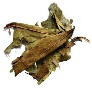 Graviola (Annona muricata) Whole Leaf Organic (1 pound)