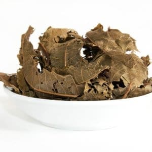 Iporuru (Alchornea castaneifolia) Whole Leaf (1 pound)