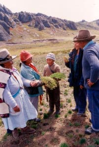 Herbs America meets with Maca farmers in Peru