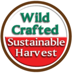 Wild Crafted Sustainable Harvest